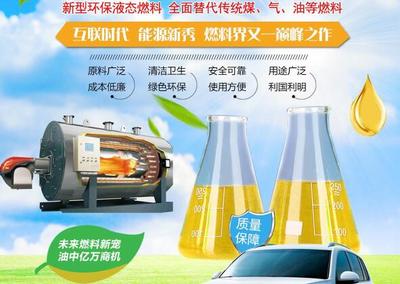 無(wú)醇植物燃料油培訓(xùn)指南 從入門到精通
