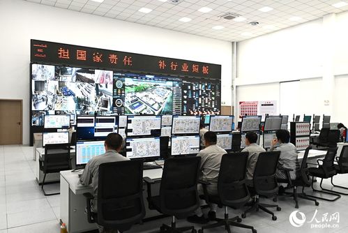 向智向綠，雙輪驅(qū)動(dòng) 技術(shù)咨詢助力中國(guó)硅基材料產(chǎn)業(yè)破局前行